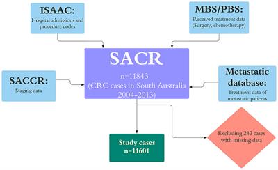 Associations of advanced age with comorbidity, stage and primary subsite as contributors to mortality from colorectal cancer